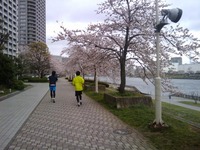 2011-04-09 09.38.54.jpg